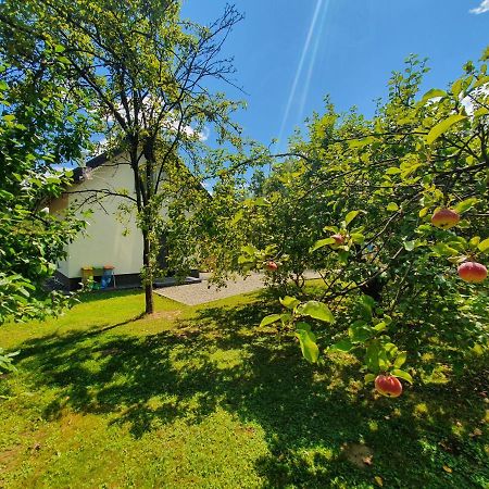 Tetmajera View & Garden Villa Debica  Bagian luar foto