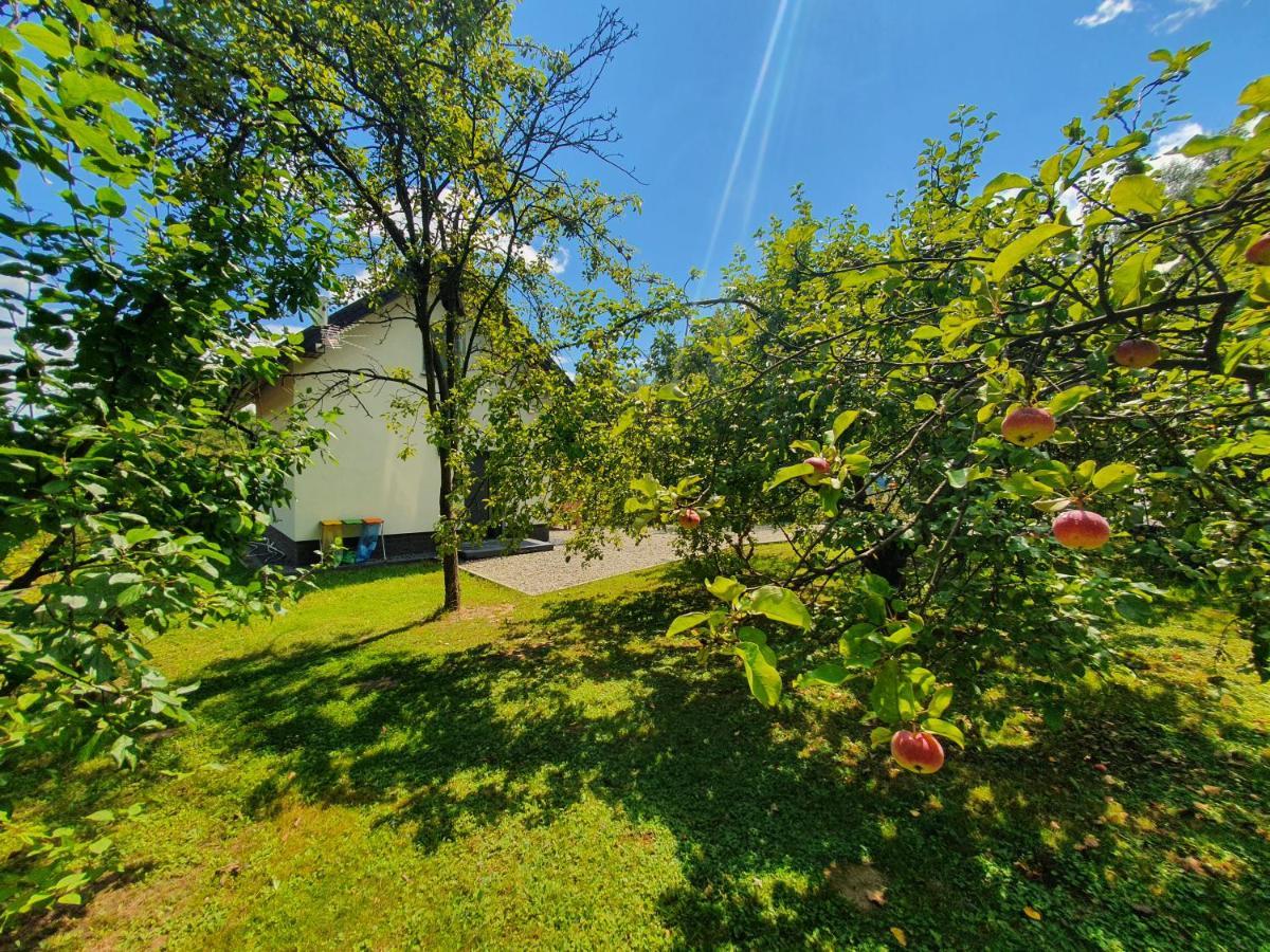 Tetmajera View & Garden Villa Debica  Bagian luar foto